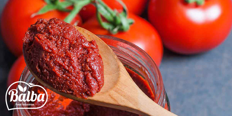 بهترین برند رب گوجه - بالبا