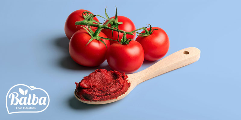 بهترین برند رب گوجه فرنگی - بالبا