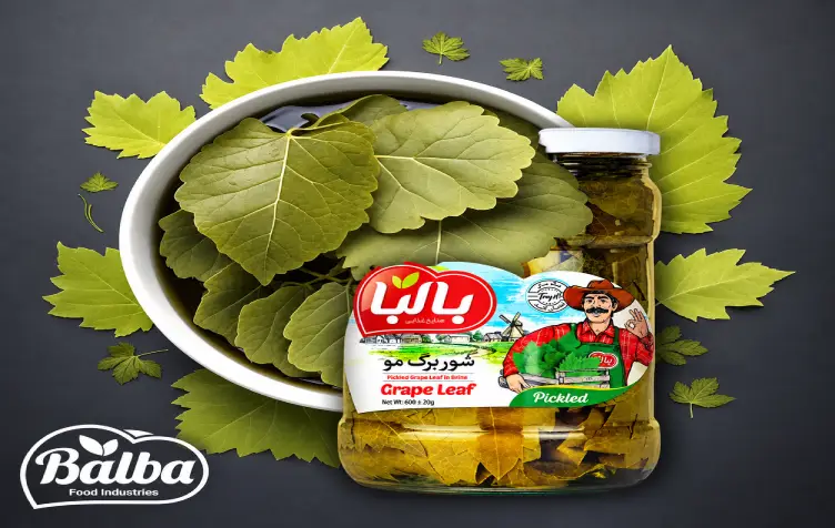 تامین عمده شور برگ